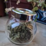 Anchetă DIICOT în Piatra-Neamț: 28 de percheziții și 8 arestați din care unul este fugar!