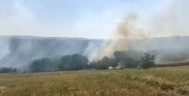 Vaslui. Incendiu de proporții pe 50 ha de vegetație și pădure: 45 de pompieri și voluntari au muncit 10 ore!