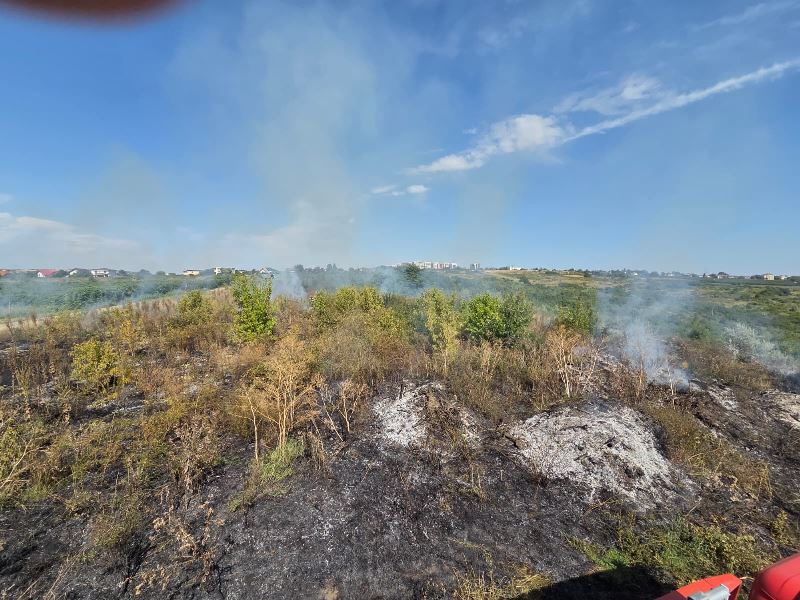 Iași: foc în curtea Grădinii Botanice