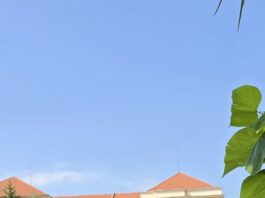 Bocanci „inteligenți” creați de o elevă a Școlii Militare din Sibiu: pot încărca dispozitive electronice în timpul mersului Bocanci „inteligenți” creați de o elevă a Școlii Militare din Sibiu: pot încărca dispozitive electronice în timpul mersului