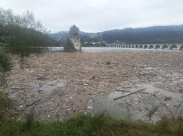 Până la 1 septembrie ar trebui să fie terminată curățarea lacului Izvorul Muntelui