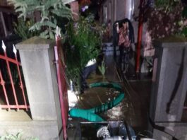Neamț. Furtuna a lăsat aproape 600 de gospodării fără curent electric
