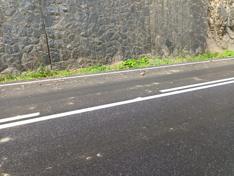 Neamț. Furtuna a lăsat aproape 600 de gospodării fără curent electric 5 Neamț. Furtuna a lăsat aproape 600 de gospodării fără curent electric