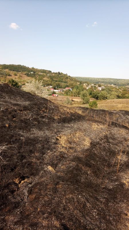 Incendii în județ: patru intervenții în aceeași zi, pagube materiale și un animal pierdut