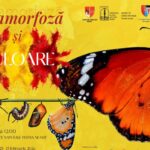 Expoziție de fluturi exotici la Piatra-Neamț: „Metamorfoză și culoare” aduce 300 de exemplare din toată lumea