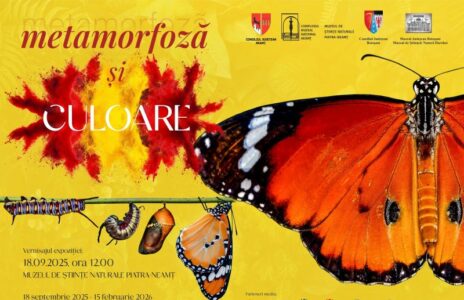 Expoziție de fluturi exotici la Piatra-Neamț: „Metamorfoză și culoare” aduce 300 de exemplare din toată lumea