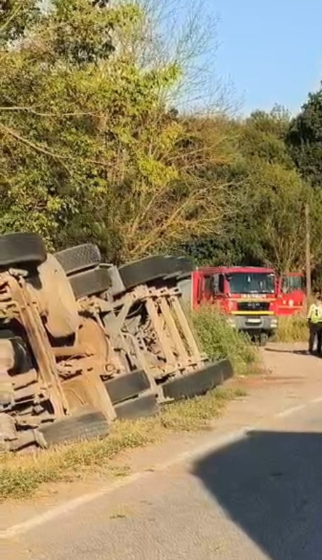 Camion cu floarea soarelui răsturnat la marginea șoselei. Șoferul rănit a ajuns la spital