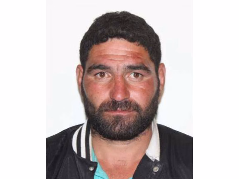 Piedone dispărut din Târgu-Neamț