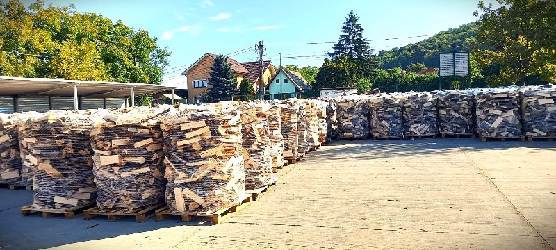 2 milioane de metri cubi de lemn pentru foc de la Romsilva pentru populație – achiziția se poate face și online