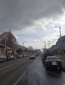 Atenție, șoferi! Polițiștii încep controalele pe culoarul de mobilitate urbană din Piatra Neamț