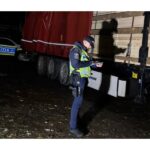 Lemn confiscat de polițiști în urma unui flagrant