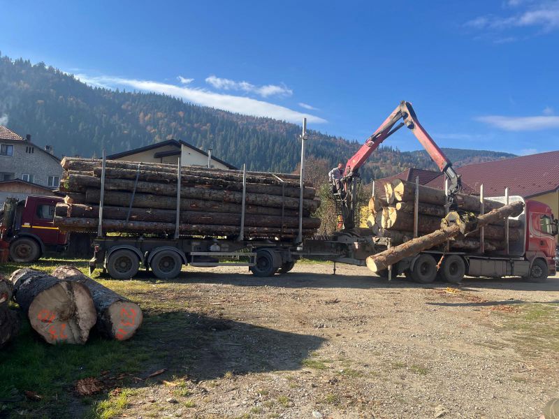 FOTO. Controale în domeniul silvic: amenzi de 50.000 de lei și două infracțiuni constatate în Neamț