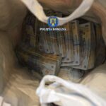 Suceava. Percheziții de amploare într-un dosar privind infracțiuni din domeniul silvic