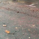Piatra Neamț: Un copil a fost rănit de artificiile de la Ziua Națională a României