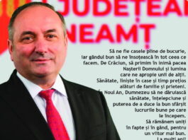 Mesaj de Crăciun din partea președintelui Consiliului Județean Neamț, Daniel Harpa