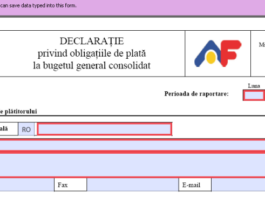 Declarațiile fiscale se depun mai repede luna aceasta: termenul limită este 19 decembrie