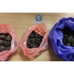 Cum să rămâi fără 5 kilograme de trufe chiar dacă ai autorizație de recoltare
