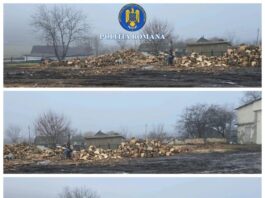 Confiscări de lemn în valoare de 36,700 lei