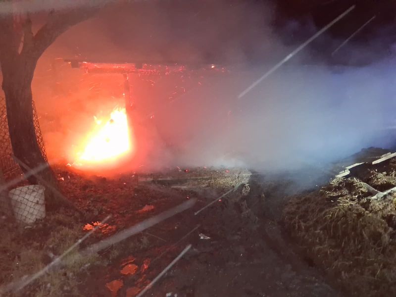 FOTO. Vaslui. Incendiu la un adăpost de animale