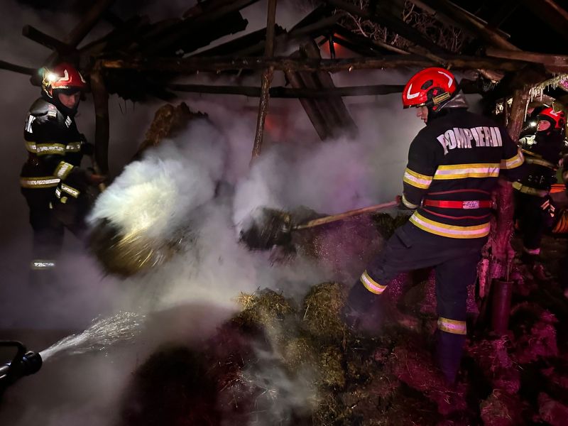 Incendiu la Deleni (Vaslui): grajd folosit ca depozit de furaje, distrus în proporție de 70%. Au ars 170 de baloți