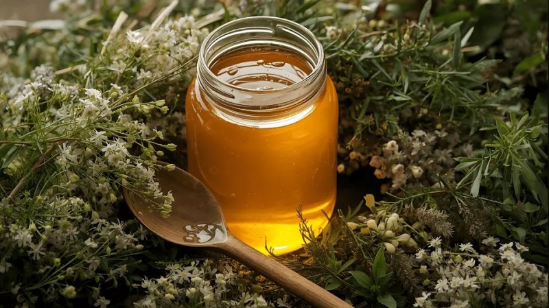 Semne bune pentru stupine: 2026 ar putea aduce redresarea sectorului apicol