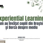 Experiential Learning: cum au învățat copiii din Broșteni și Borca despre mediu