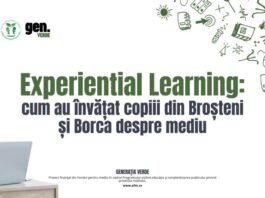 Experiential Learning: cum au învățat copiii din Broșteni și Borca despre mediu