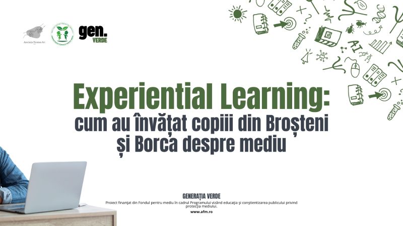Experiential Learning: cum au învățat copiii din Broșteni și Borca despre mediu