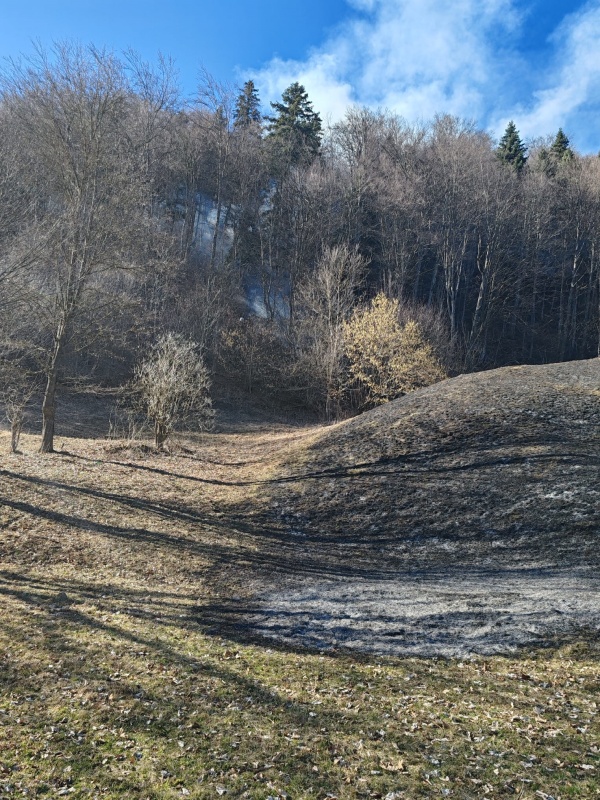 8 incendii de vegetație uscată într-o singură zi în Neamț 3 8 incendii de vegetație uscată într-o singură zi în Neamț