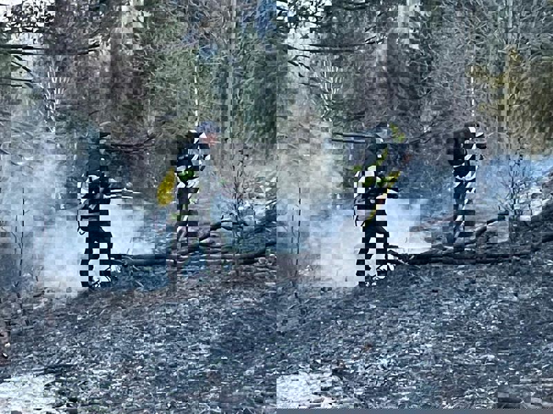 7 incendii de vegetație Neamț într-o singură zi. Peste 27 de hectare arse