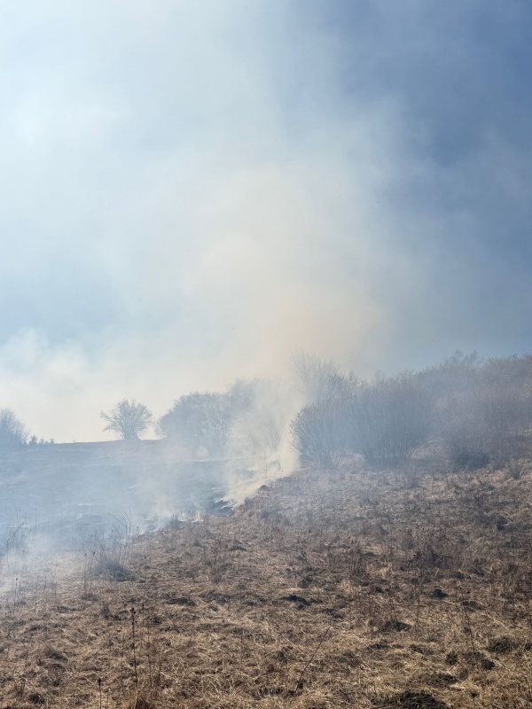 Video - foto. Cinci ore de intervenție pe 15 hectare. Un bărbat a suferit arsuri după... curățenia de primăvară 2 Video - foto. Cinci ore de intervenție pe 15 hectare. Un bărbat a suferit arsuri după... curățenia de primăvară