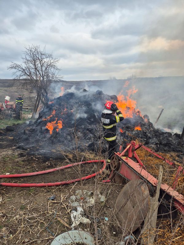 Iași. Cățeluș salvat dintr-un incendiu la Brătuleni. Flăcările care au cuprins o casă și 10 tone de furaje