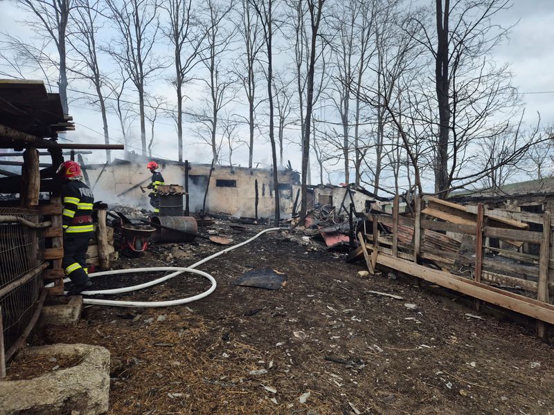 Iași. Cățeluș salvat dintr-un incendiu la Brătuleni. Flăcările care au cuprins o casă și 10 tone de furaje