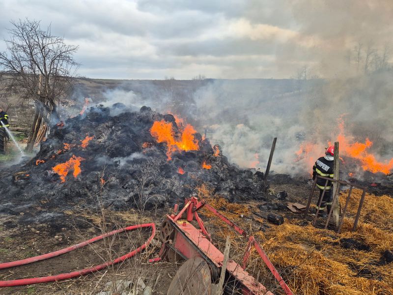 Iași. Cățeluș salvat dintr-un incendiu la Brătuleni. Flăcările care au cuprins o casă și 10 tone de furaje
