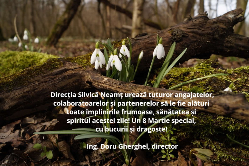8 MARTIE Urări din partea Direcției Silvice, a Ocoalelor Silvice din județul Neamț și a Sindicatului Silvicultorilor