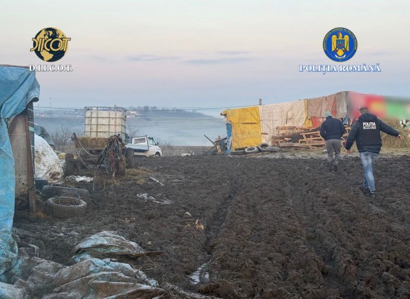 Doi membri ai aceleiași familii, reținuți de DIICOT Iași pentru trafic de persoane și exploatare prin muncă
