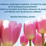 8 MARTIE Felicitări din partea primăriilor din mediul rural din județul Neamț