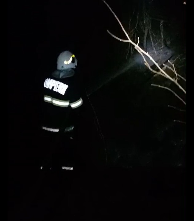 VIDEO. Incendiu la Izvorul Muntelui – 6 ore de luptă cu focul