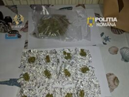 Botoșani. Tânăr reținut pentru trafic de droguri