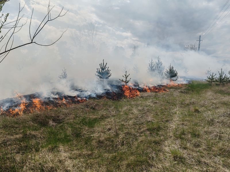 Peste 120 de intervenții în doar trei zile. Incendii în trei comune din Neamț