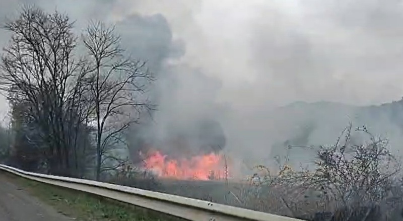 VIDEO. Incendiu puternic la o stână din zona Almaș