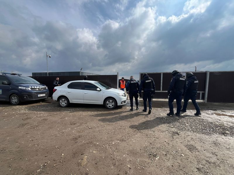 Suceava. Percheziții la Berchișești într-un dosar de ucidere intenționată a animalelor