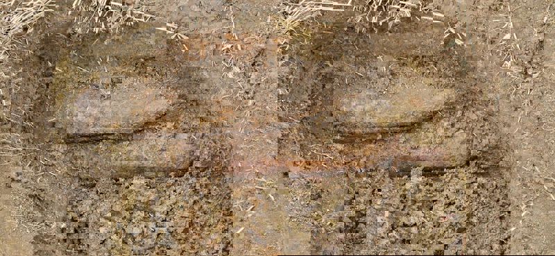 FOTO. Proiectile din al doilea război mondial descoperite la Lețcani