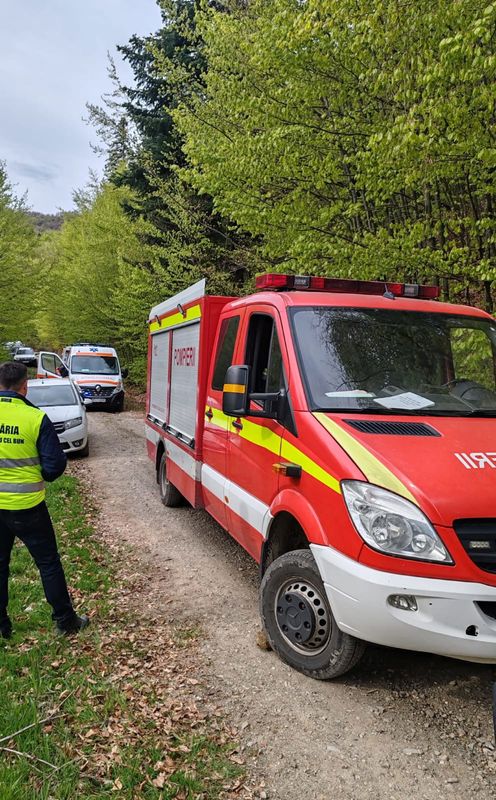 Bărbat ucis de un copac căzut într-o comună din Neamț