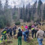 Educație forestieră la Pipirig: elevii au plantat mii de puieți și au învățat lecții esențiale despre natură