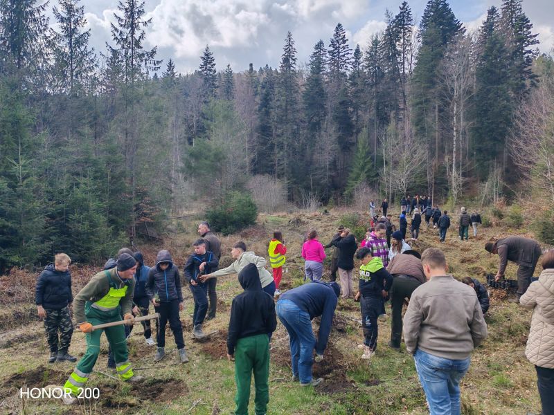 Educație forestieră la Pipirig: elevii au plantat mii de puieți și au învățat lecții esențiale despre natură