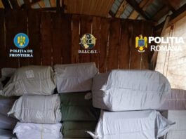Procurorii DIICOT au descins în 137 de locații din Neamț, Suceava, Botoșani și Vrancea