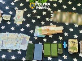 Bacau. Percheziții într-un dosar de infracțiuni silvice. Lemn confiscat, bani ridicați și cinci persoane audiate