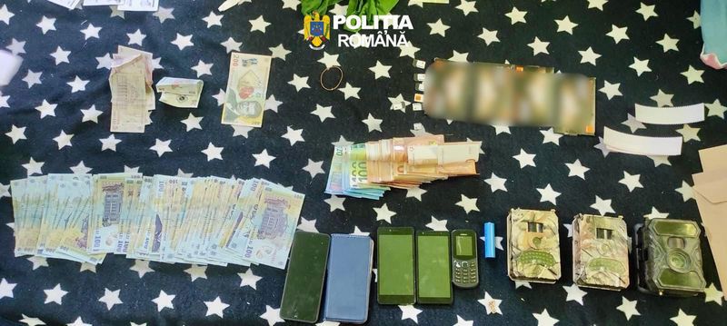 Bacau. Percheziții într-un dosar de infracțiuni silvice. Lemn confiscat, bani ridicați și cinci persoane audiate