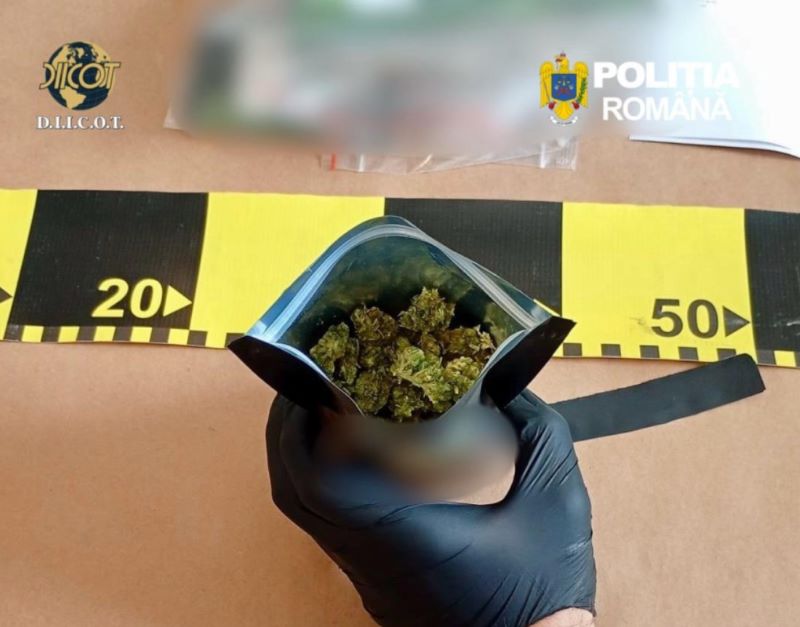 Bacău. Canabis și jeleuri cu stupefiante aduse din Slovacia – trei bărbați au fost arestați preventiv 4 Bacău. Canabis și jeleuri cu stupefiante aduse din Slovacia – trei bărbați au fost arestați preventiv